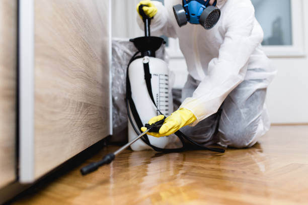 Best Local Pest Control Services  in Norfolk, VA
