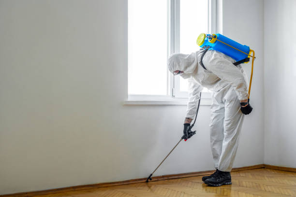 Best Residential Pest Control  in Norfolk, VA