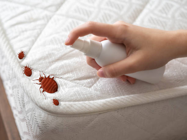 Best Cockroach Control Services  in Norfolk, VA